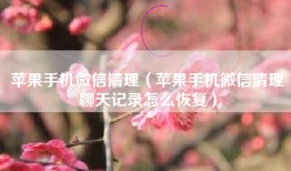 苹果手机微信清理（苹果手机微信清理聊天记录怎么恢复）