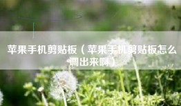 苹果手机剪贴板（苹果手机剪贴板怎么调出来啊）