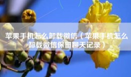 苹果手机怎么卸载微信（苹果手机怎么卸载微信保留聊天记录）