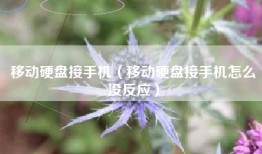 移动硬盘接手机（移动硬盘接手机怎么没反应）