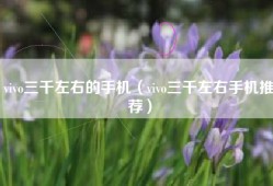 vivo三千左右的手机（vivo三千左右手机推荐）