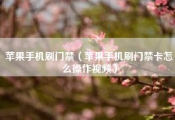 苹果手机刷门禁（苹果手机刷门禁卡怎么操作视频）