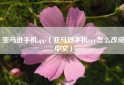 亚马逊手机app（亚马逊手机app怎么改成中文）