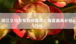 浙江义乌发布购房新政：每套最高补贴25万元