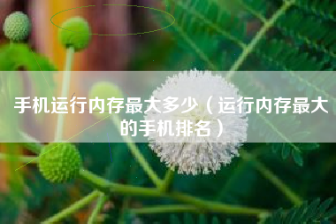 手机运行内存最大多少（运行内存最大的手机排名）