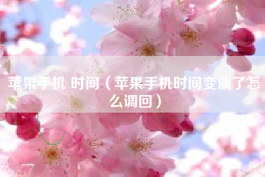 苹果手机 时间（苹果手机时间变淡了怎么调回）