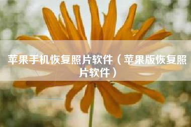 苹果手机恢复照片软件（苹果版恢复照片软件）