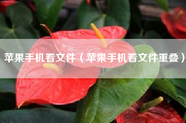 苹果手机看文件（苹果手机看文件重叠）