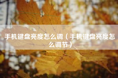 手机键盘亮度怎么调（手机键盘亮度怎么调节）