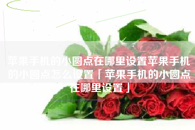 苹果手机的小圆点在哪里设置苹果手机的小圆点怎么设置「苹果手机的小圆点在哪里设置」