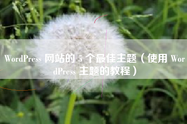 WordPress 网站的 5 个最佳主题（使用 WordPress 主题的教程）